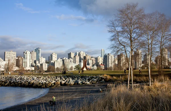 stock image Autumn Vancouver. Canada.