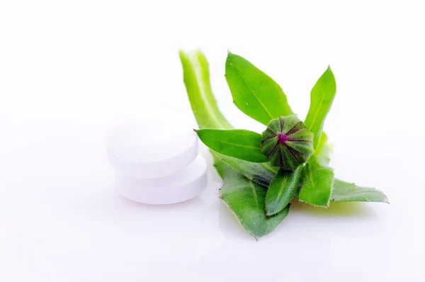 Weiße Pillen, Konzept der Naturmedizin — Stockfoto