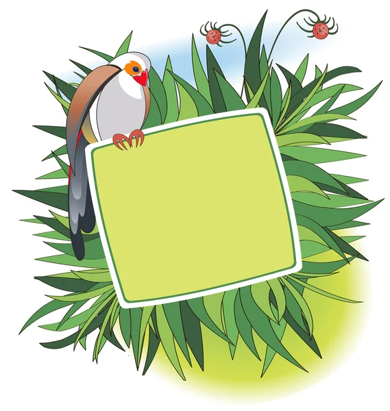 Banner med färgglada fågel — Stock vektor