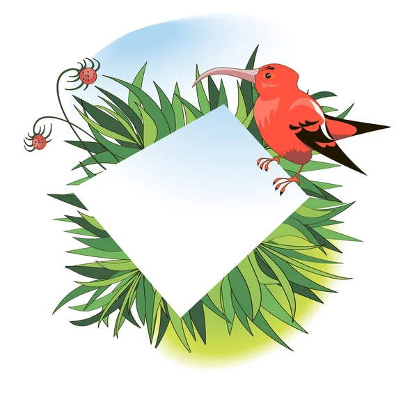 Banner com pássaro tropical vermelho —  Vetores de Stock