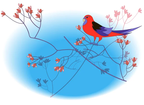 Červený papoušek — Stockový vektor