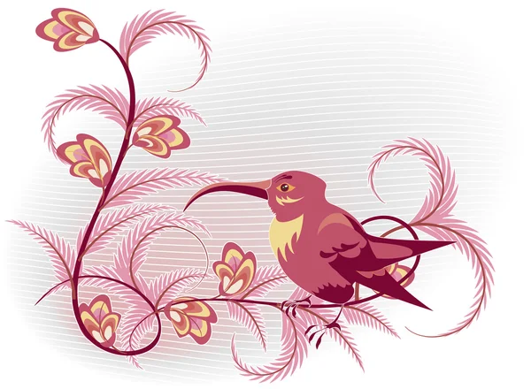 Růžový colibri — Stockový vektor