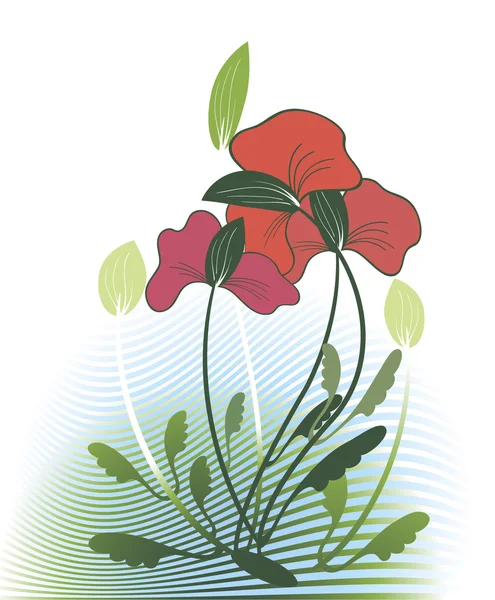 Red wildflowers — Stock Vector