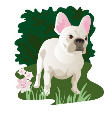White French in the garden clipart