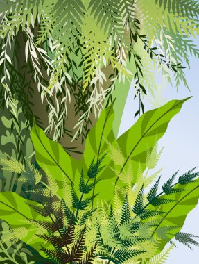 Fern thickets in the jungle clipart