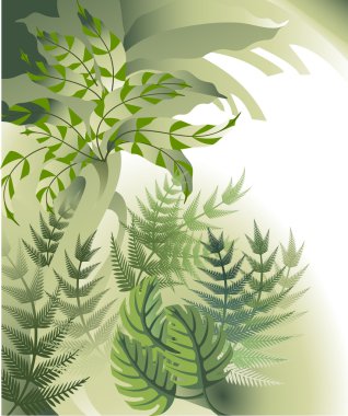 Tropical plants clipart