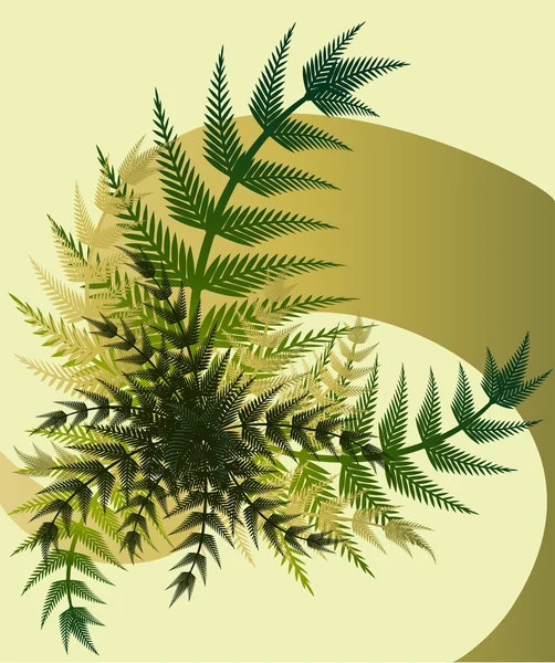 蕨类植物茎的花束 — 图库矢量图片