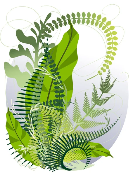 A bouquet of herbs and ferns — Stock Vector
