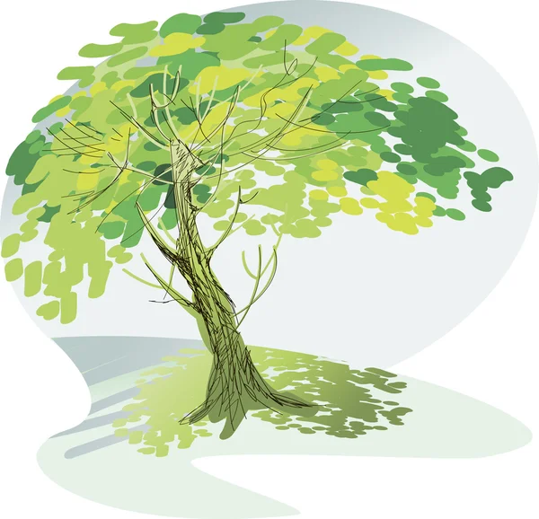 Un gran árbol verde — Vector de stock