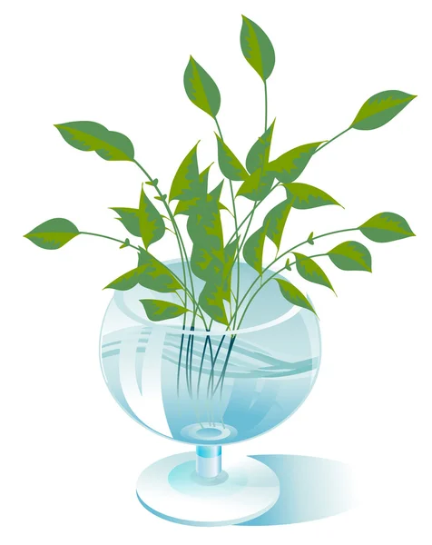 透明なガラスで植物の茎 — ストックベクタ
