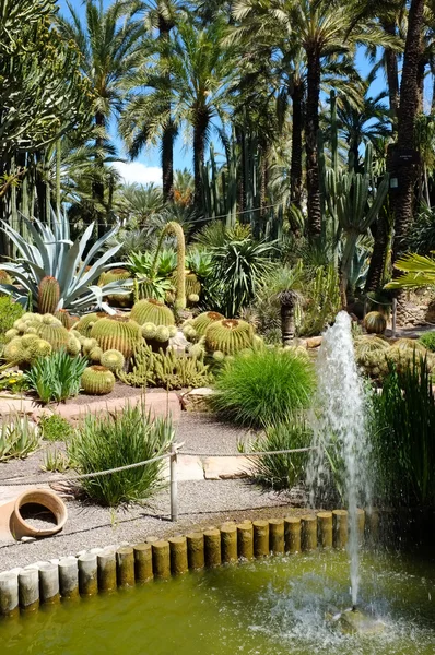 Huerto del Cura garden — Stock Photo, Image