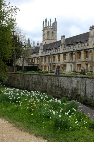 Оксфорд колледж — стоковое фото