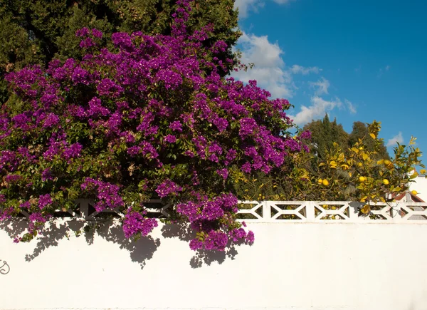 Parede colorida — Fotografia de Stock