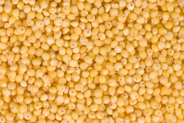 Raw millet — Stock Photo, Image