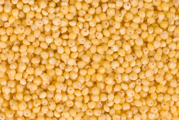 stock image Raw millet