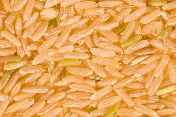 Granos de arroz entero —  Fotos de Stock