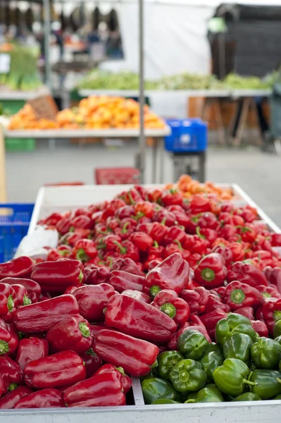 Pimentos — Fotografia de Stock