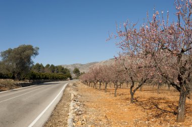 Costa blanca bakış