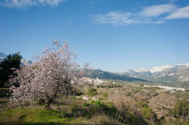 guadalest Vadisi