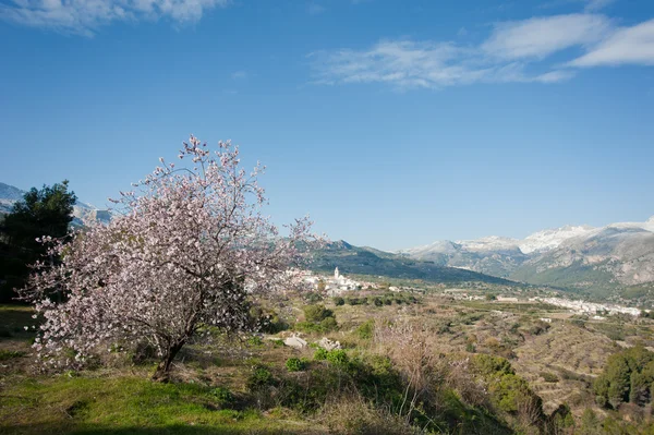 Guadalest valley — Stock Photo, Image