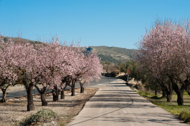 Scenic road clipart