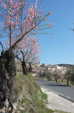 Costa blanca Köyü