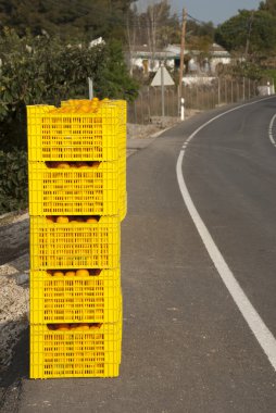 Orange crates clipart