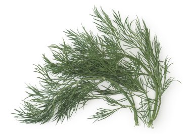 Fresh Dill clipart