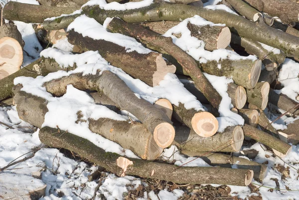 切冬季木材，用于加热 — 图库照片