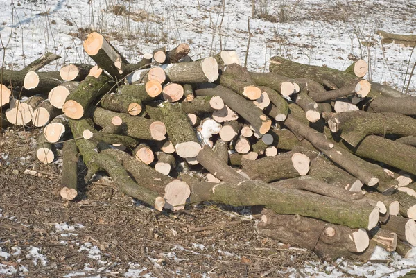 겨울 난방에 대 한 목재를 잘라 — 스톡 사진