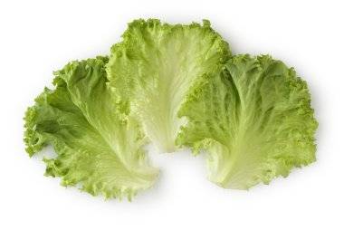 Leaf Lettuce clipart