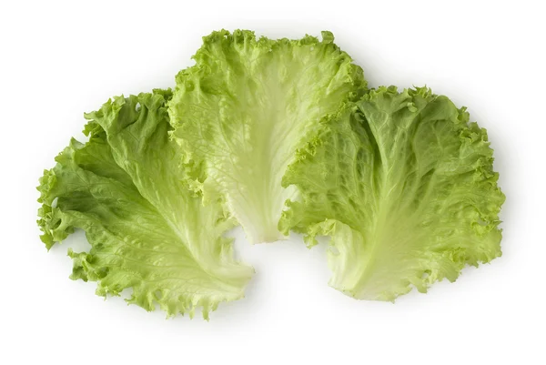 Leaf Lettuce — Stock Photo, Image