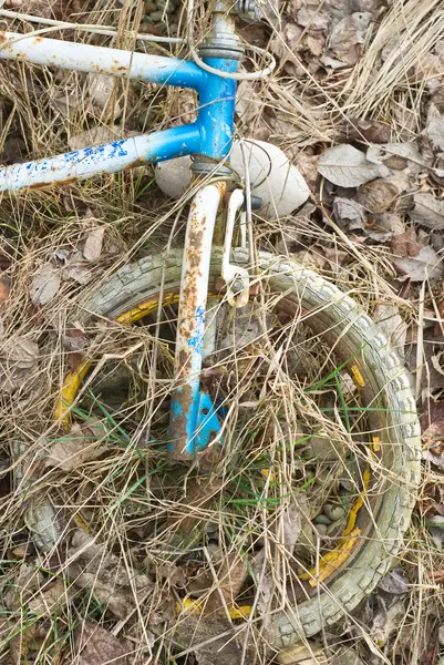 Porzucony rower jako piękne śmieci — Zdjęcie stockowe