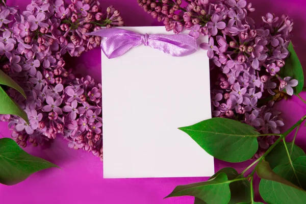 Fialová lila s pozvánkou — Stock fotografie