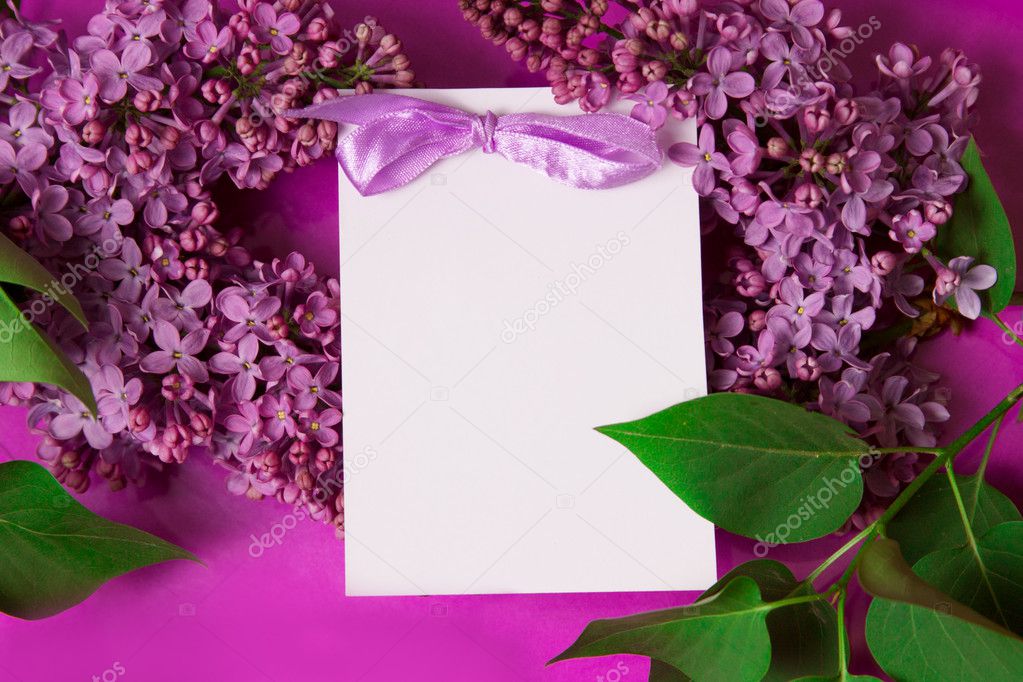 Purple lilac with invitation