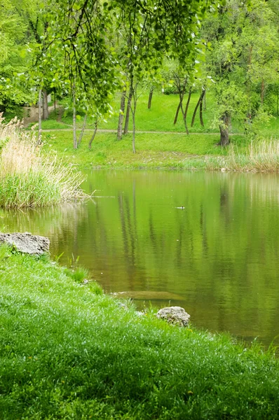 stock image Lake view