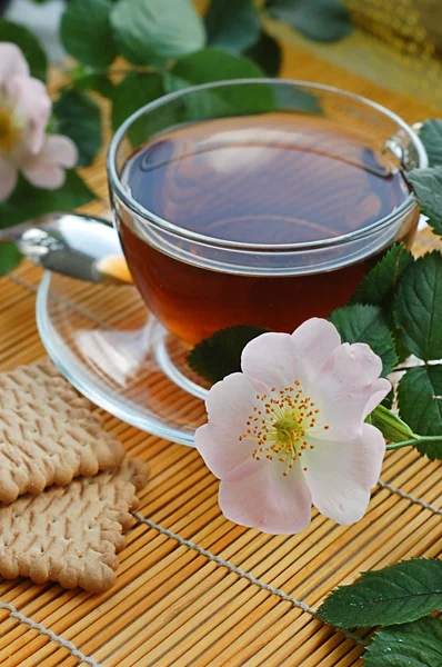 Te med hund-rose blossom — Stockfoto