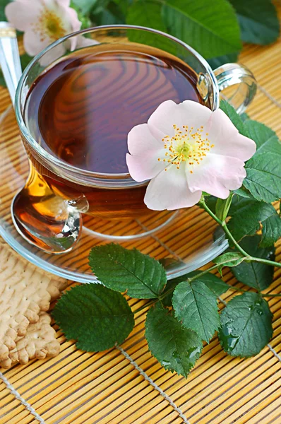 Herbata z kwiatu róży pies — Zdjęcie stockowe