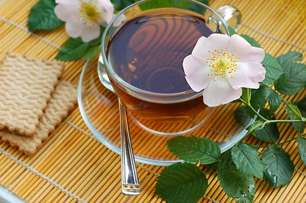 Chá com flor de rosa de cão — Fotografia de Stock
