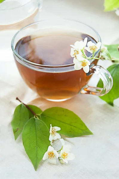 Kop van groene thee met jasmijn — Stockfoto