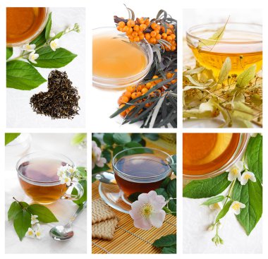 Collection of green and black tea clipart