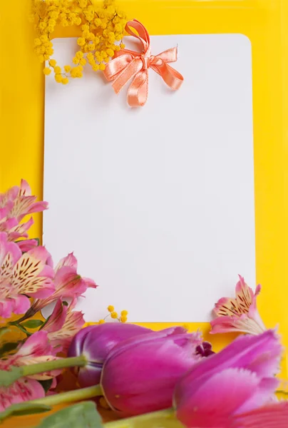 Cartão decorativo com mimosa e tulipas — Fotografia de Stock