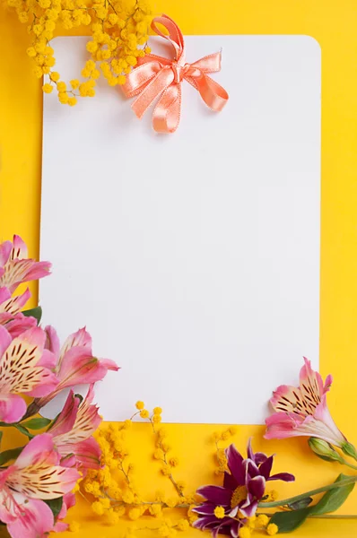 Mimoza ile dekoratif kartı — Stok fotoğraf