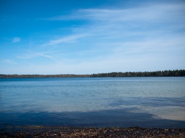 Lake switez-Beyaz Rusya