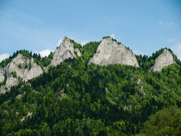 stock image Pieniny-Poland