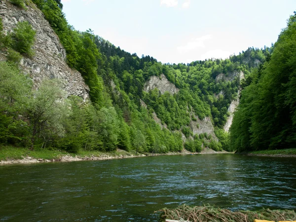 Río Dunajec-Polonia —  Fotos de Stock