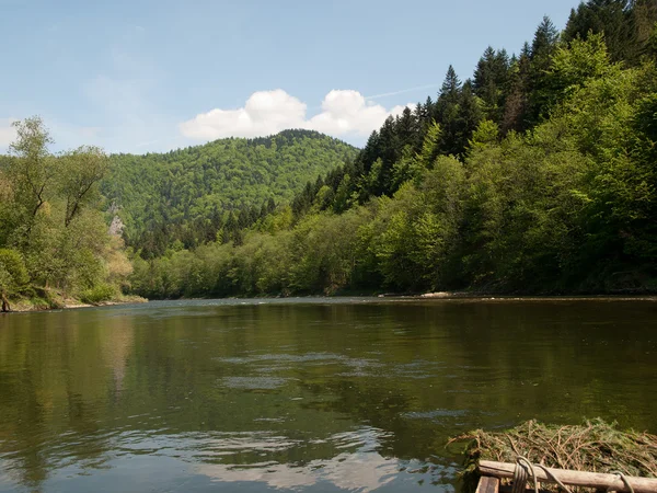 Pieniny-Poland — Zdjęcie stockowe