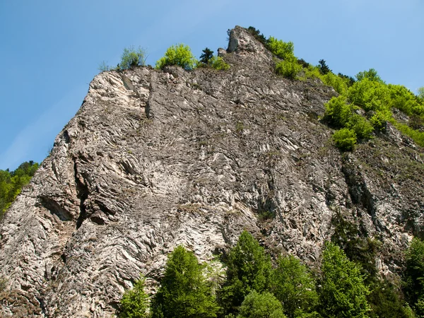 Pieniny-Polsko — Stock fotografie