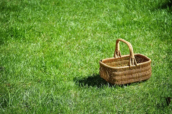 Een lege rieten mand op het gras. — Stockfoto