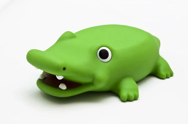 Зеленый крокодил — стоковое фото
